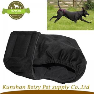 új belépők kutya szezonja pelenkát