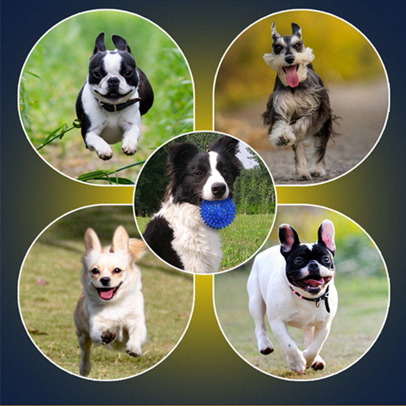 hogy csökkentsék a kutyák pusztító erő.