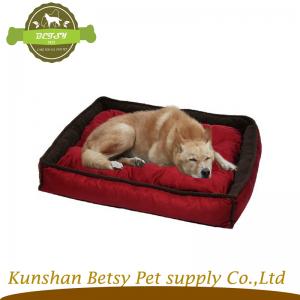 vörös kutya elindítja az