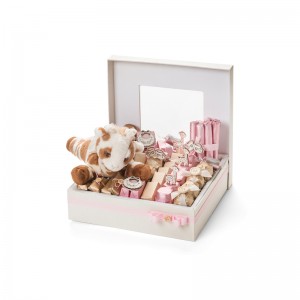 Hot eladó macaron csomagolás doboz fedél macaron doboz design