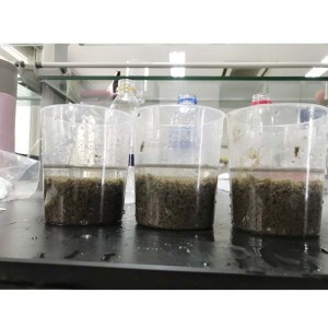 Az ipari szennyvízkezeléshez poliakrilamid-památot kell biztosítani