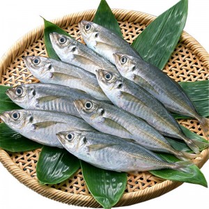 Fagyasztott ló makréla