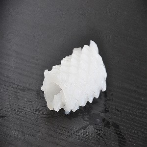 Fagyasztott tintahal virág