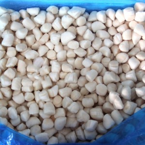 Fagyasztott Bay fésűkagyló hús