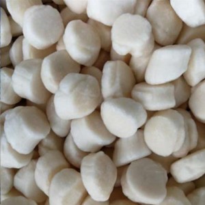 Fagyasztott tengeri kagyló hús