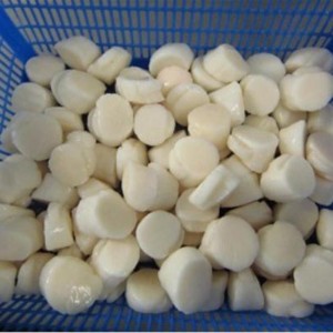 Fagyasztott tengeri kagyló hús