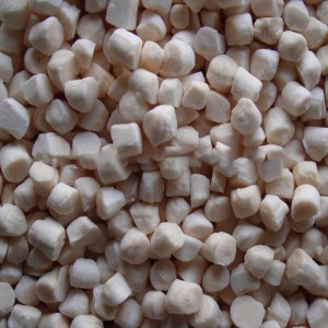 Fagyasztott tengeri kagyló hús