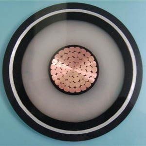 110 kV-os Xlpe nagyfeszültségű kábel, kompakt szegmensvezető, 1000 mm2