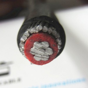 0,6 / 1KV-os légkoncentrikus kábel / szervizkábel 1x16 / 16mm2