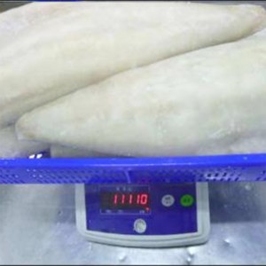 Fagyasztott, könnyű, sózott Atlanti-óceán-foltok filéje