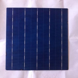 Polikristályos sejt