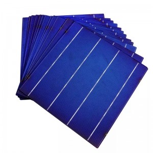 Polikristályos sejt