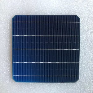 Monokristályos sejt