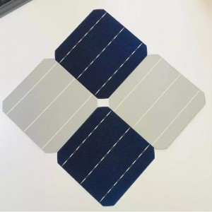 Monokristályos sejt