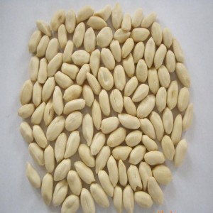 Földimogyoró száraz hámozógép