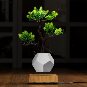 mágneses lebegő lebegő alsó levegő bonsai cserép ültetvények PA-0708