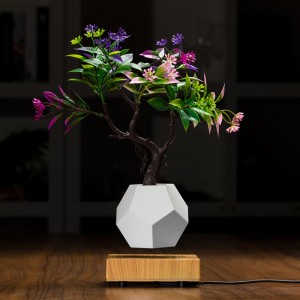 mágneses lebegő lebegő alsó levegő bonsai cserép ültetvények PA-0708