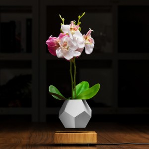 mágneses lebegő lebegő alsó levegő bonsai cserép ültetvények PA-0708