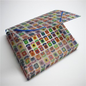 PP műanyag dosszié mappája elasztikus