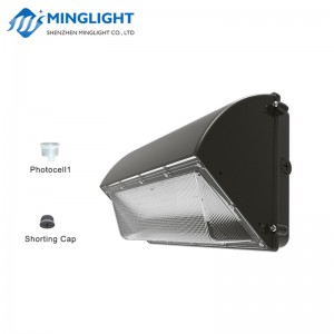LED falikar WPB2 42W