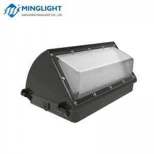 LED falikar WPB2 42W