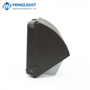 LED falikar WPB2 60W