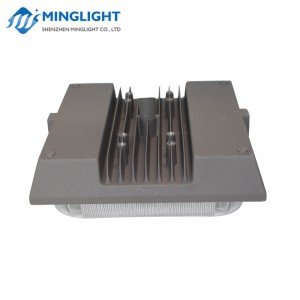 CNPA 75W LED lámpatestes lámpatest