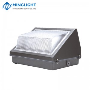 LED falikar WPB 42W