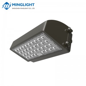 LED falikar WPC2 60W