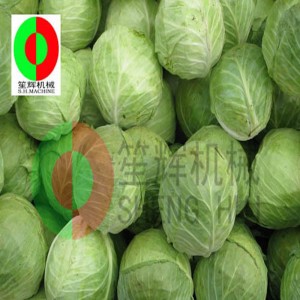 Káposztamag gép TX-1000