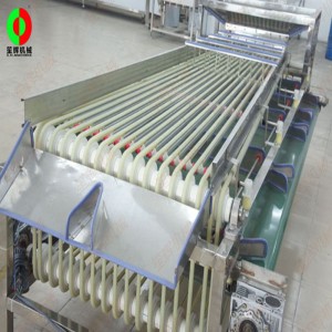 FJ-3000 gyümölcsgyalu