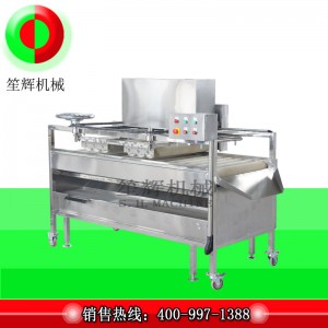 Gyümölcstisztító / Gyümölcstisztító / Gyümölcskefetisztító (mélytisztítás) QM-2