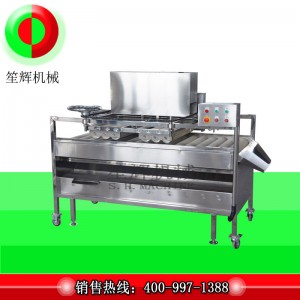 Gyümölcstisztító / Gyümölcstisztító / Gyümölcskefetisztító (mélytisztítás) QM-2