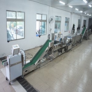 Nagy póréhagymát gyilkos gyártósor