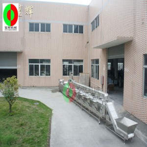 Többfunkciós zöldségmosó / zöldségmosó gép gyártósor / háromrétegű, tiszta zöldségfeldolgozó gyártósor