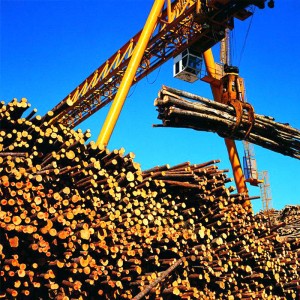 Gantry daru megragadni