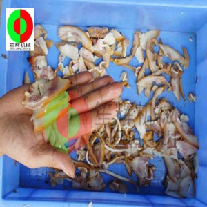 Automatikus húsvágó / többfunkciós húsvágó / közepes méretű asztali húsvágó QH-500