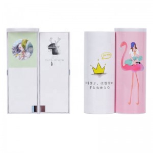 Flamingo ceruza tok aranyos levélpapír műanyag díszdobozban