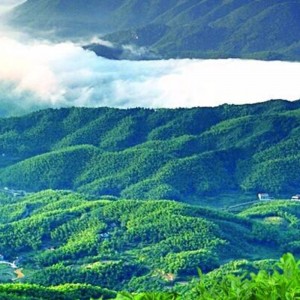 M állítja a lótusz illatos fuzhuan tea hunan anhua fekete tea egészségügyi teát