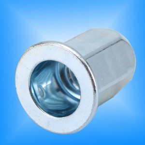 Lapos fejű, teljes Hex test