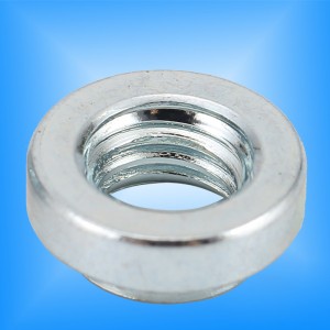 Saját klinch diófélék