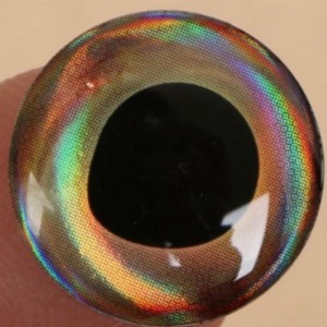 Halászati ​​szem, epoxi kupolás halszem