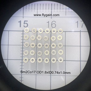 Kína gyártója, a motor precíziós kis pontosságú mágnese