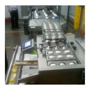 WXD96 Egg Mosó-, szárító- és törőgép