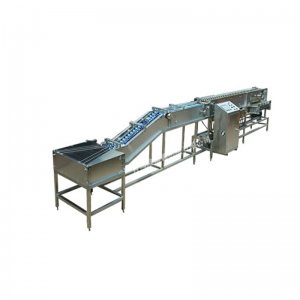 WF100 Egg elektronikus Weighing Grader