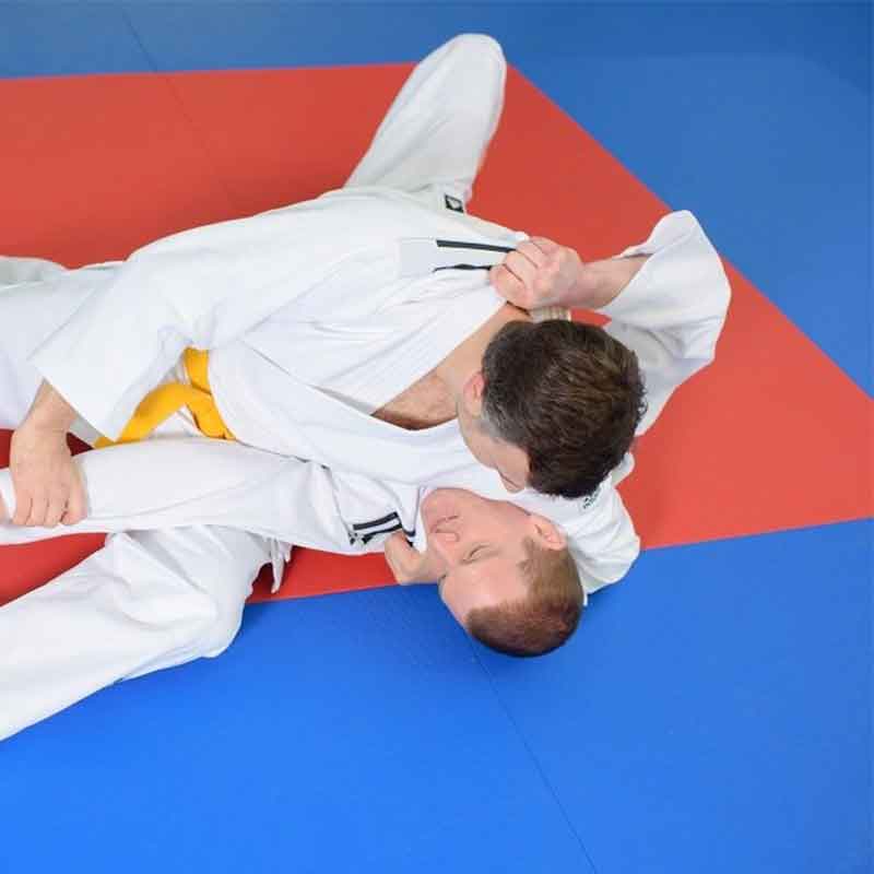 Professzionális birkózás hivatalosan kijelölt párnázó szőnyeg (ACF)