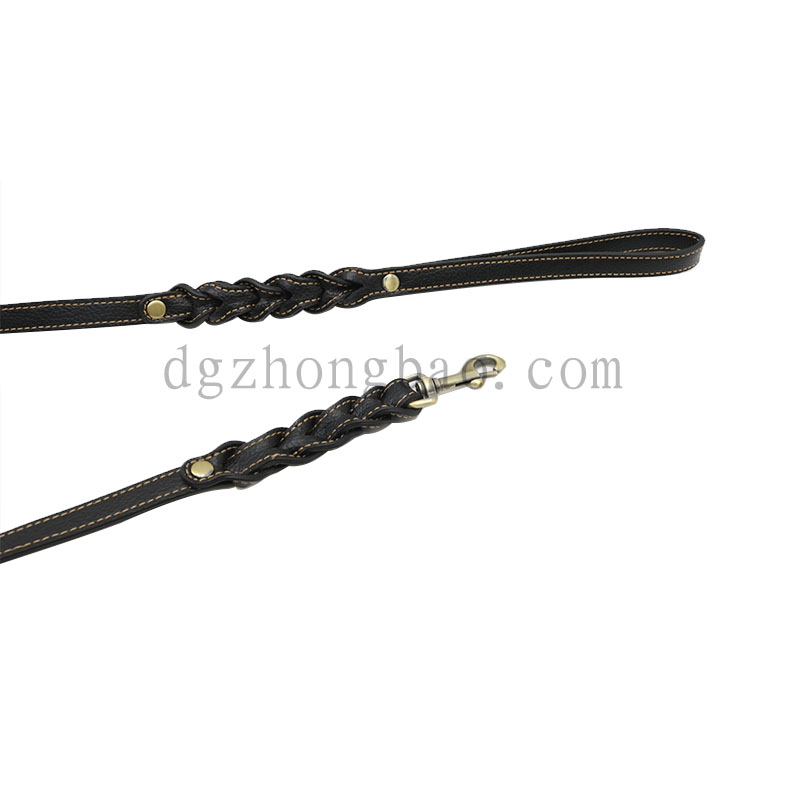 Twist kivitelű, házi kedvenc póráz kutyák számára