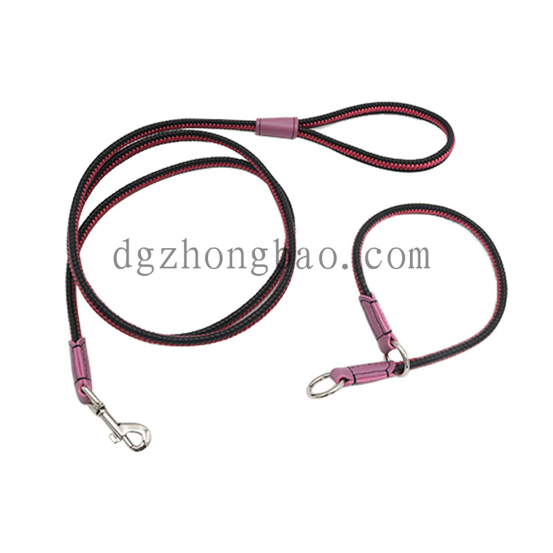 Zsinór házi póráz