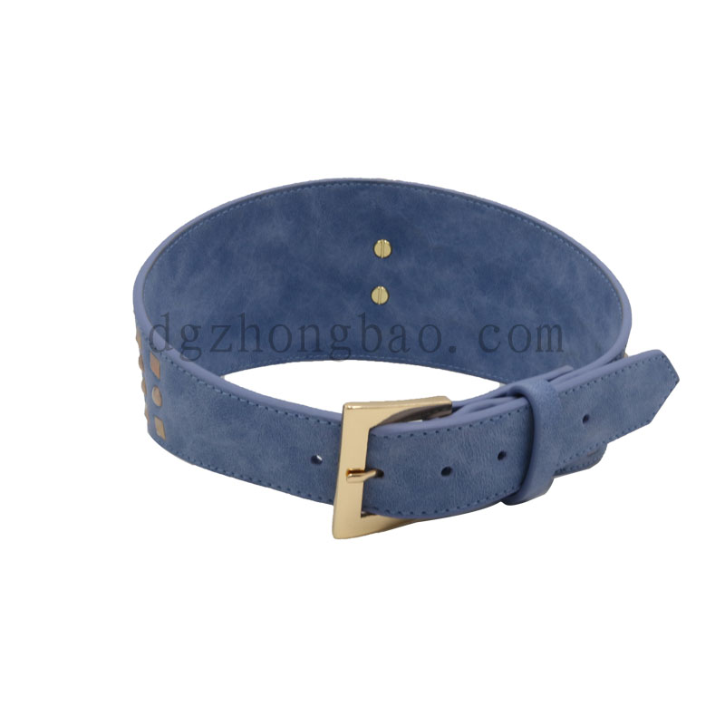 Különleges méretű kutyagallér