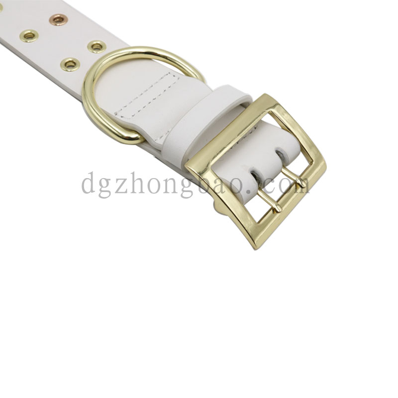 A galléros dupla tyúkszem beállítja a kisállat pórázát